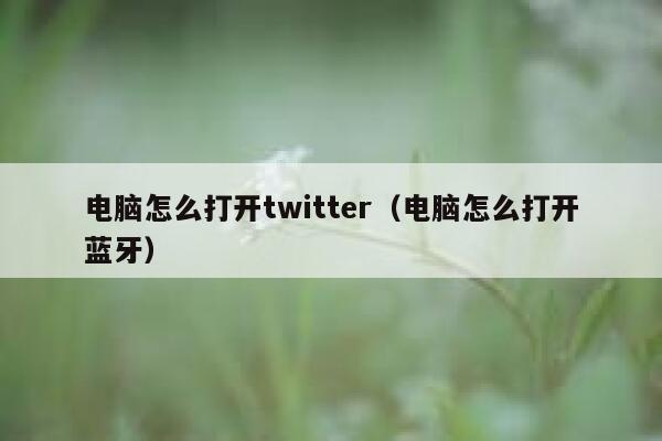 电脑怎么打开twitter（电脑怎么打开蓝牙） 第1张
