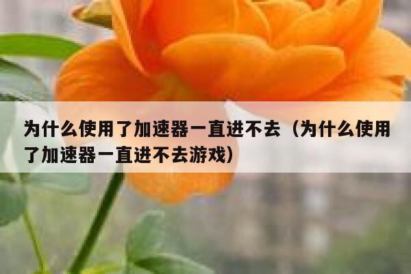 为什么使用了加速器一直进不去（为什么使用了加速器一直进不去游戏） 第1张