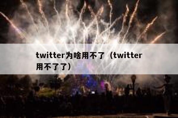 twitter为啥用不了（twitter用不了了） 第1张