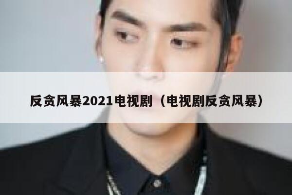 反贪风暴2021电视剧（电视剧反贪风暴） 第1张