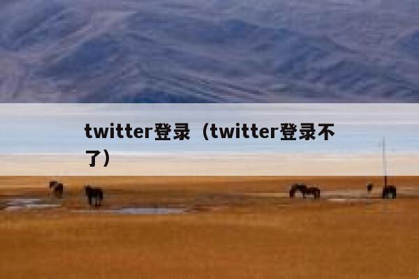 twitter登录（twitter登录不了） 第1张