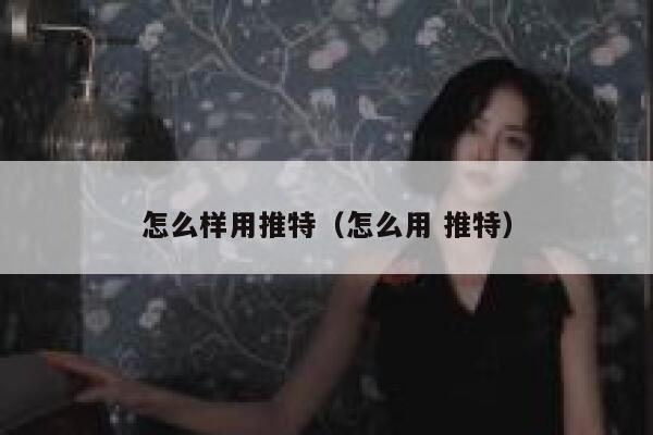怎么样用推特（怎么用 推特） 第1张