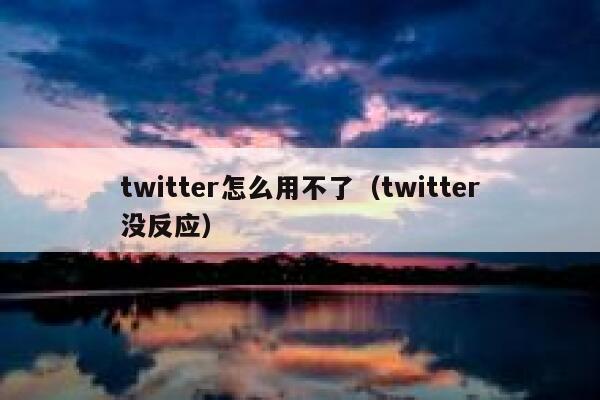 twitter怎么用不了（twitter没反应） 第1张