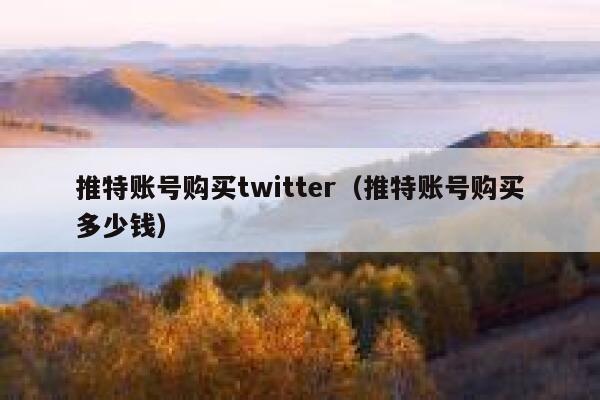 推特账号购买twitter（推特账号购买多少钱） 第1张