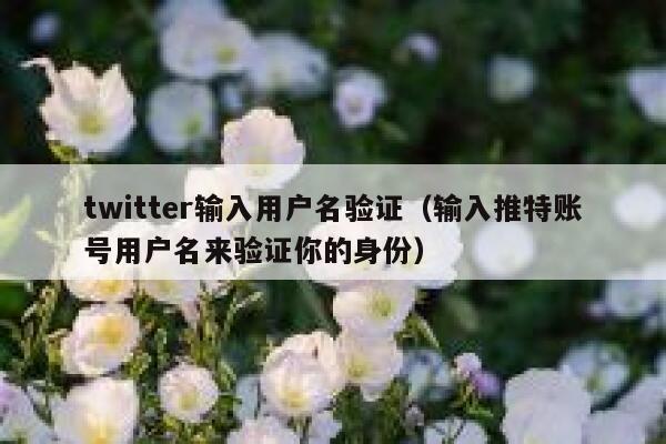 twitter输入用户名验证（输入推特账号用户名来验证你的身份） 第1张