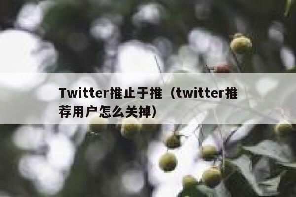 Twitter推止于推（twitter推荐用户怎么关掉） 第1张