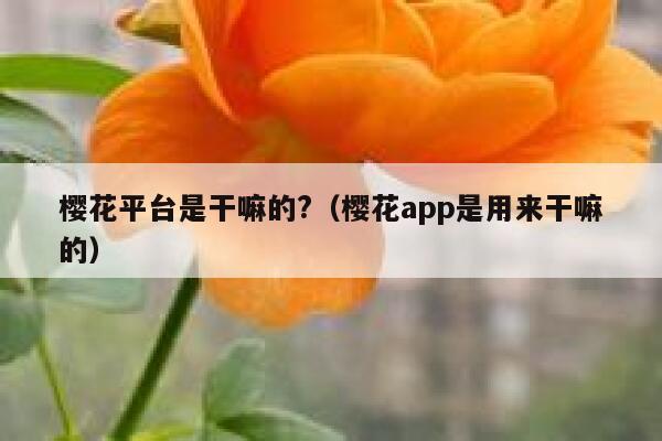 樱花平台是干嘛的?（樱花app是用来干嘛的） 第1张