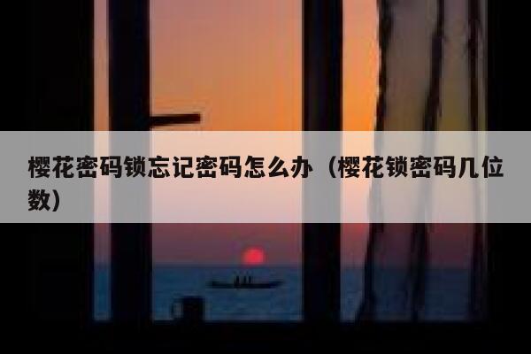樱花密码锁忘记密码怎么办（樱花锁密码几位数） 第1张