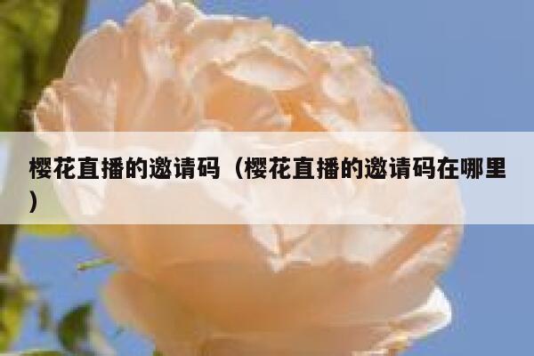 樱花直播的邀请码（樱花直播的邀请码在哪里） 第1张