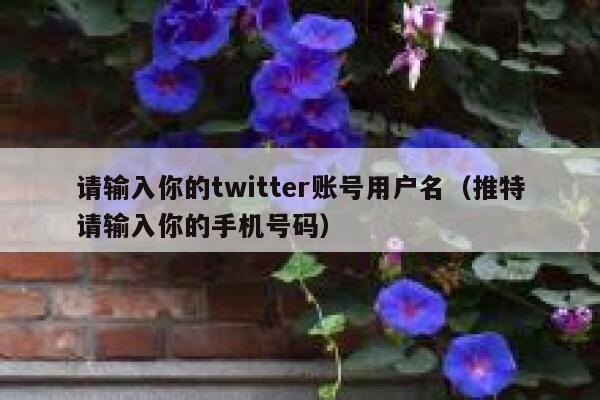 请输入你的twitter账号用户名（推特请输入你的手机号码） 第1张