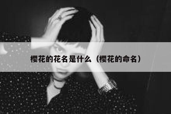 樱花的花名是什么（樱花的命名） 第1张