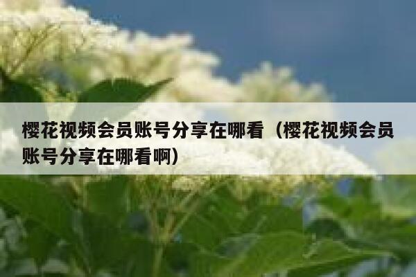 樱花视频会员账号分享在哪看（樱花视频会员账号分享在哪看啊） 第1张