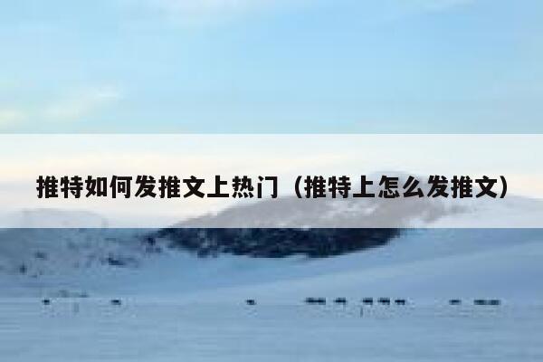 推特如何发推文上热门（推特上怎么发推文） 第1张
