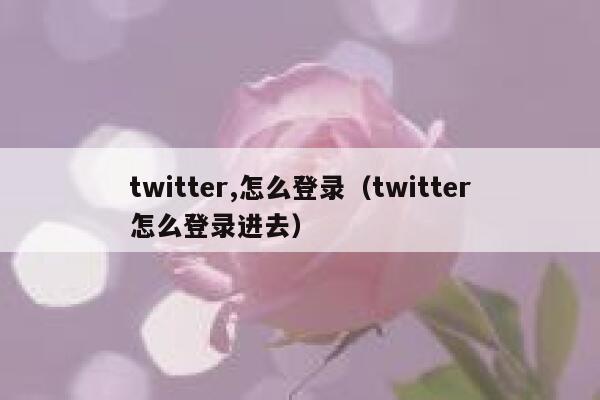 twitter,怎么登录（twitter怎么登录进去） 第1张