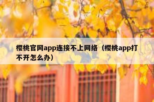樱桃官网app连接不上网络（樱桃app打不开怎么办） 第1张
