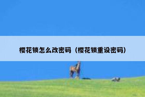 樱花锁怎么改密码（樱花锁重设密码） 第1张