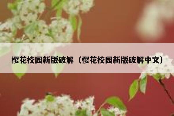 樱花校园新版破解（樱花校园新版破解中文） 第1张