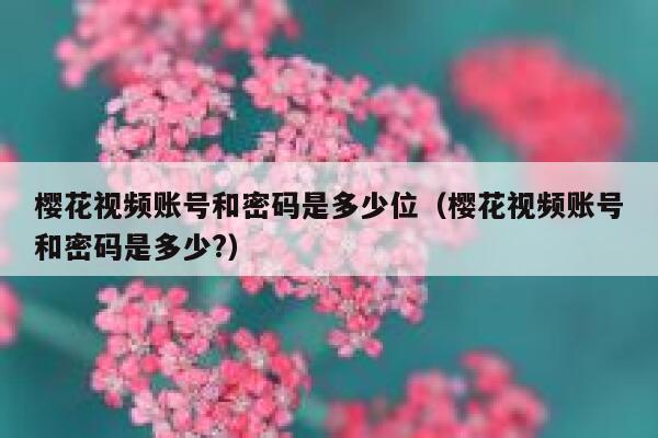 樱花视频账号和密码是多少位（樱花视频账号和密码是多少?） 第1张