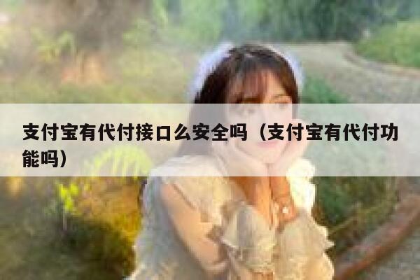 支付宝有代付接口么安全吗（支付宝有代付功能吗） 第1张