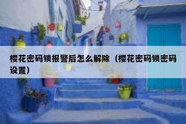 樱花密码锁报警后怎么解除（樱花密码锁密码设置） 第1张