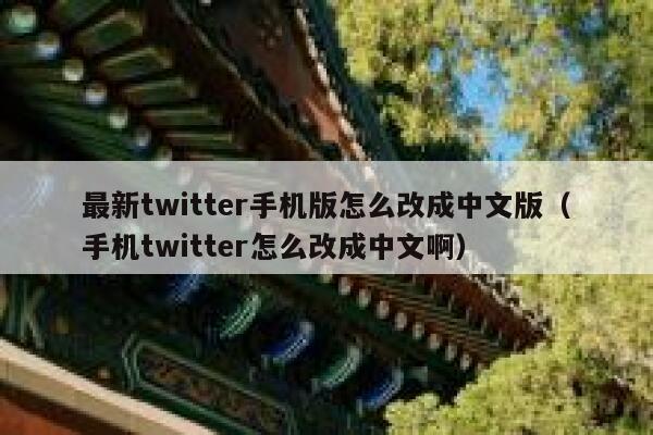 最新twitter手机版怎么改成中文版（手机twitter怎么改成中文啊） 第1张