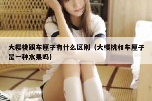 大樱桃跟车厘子有什么区别（大樱桃和车厘子是一种水果吗） 第1张