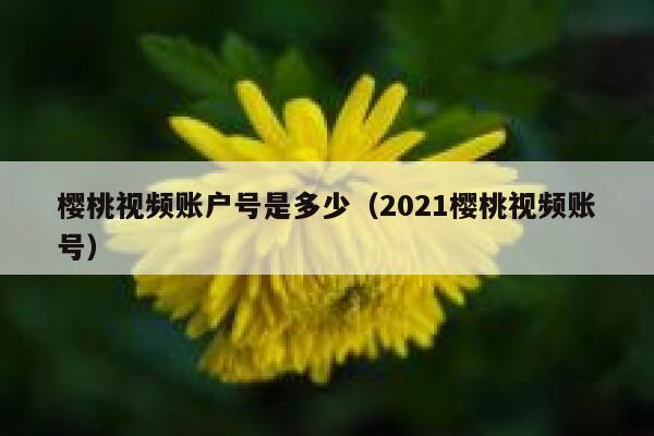樱桃视频账户号是多少（2021樱桃视频账号） 第1张