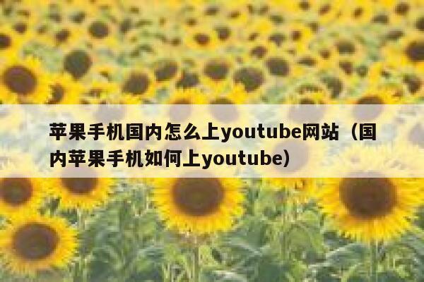 苹果手机国内怎么上youtube网站(国内苹果手机如何上youtube) 第1张 苹果手机国内怎么上youtube网站(国内苹果手机如何上youtube) 第1张
