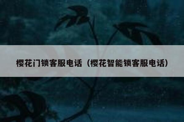 樱花门锁客服电话（樱花智能锁客服电话） 第1张