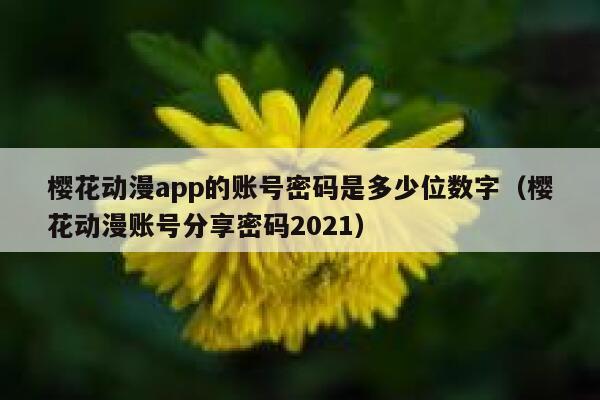 樱花动漫app的账号密码是多少位数字（樱花动漫账号分享密码2021） 第1张
