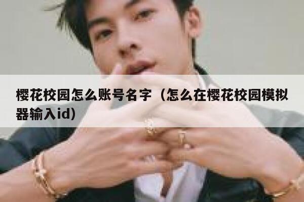樱花校园怎么账号名字（怎么在樱花校园模拟器输入id） 第1张