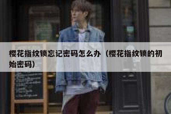 樱花指纹锁忘记密码怎么办（樱花指纹锁的初始密码） 第1张