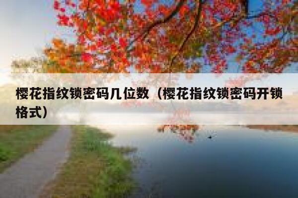 樱花指纹锁密码几位数（樱花指纹锁密码开锁格式） 第1张