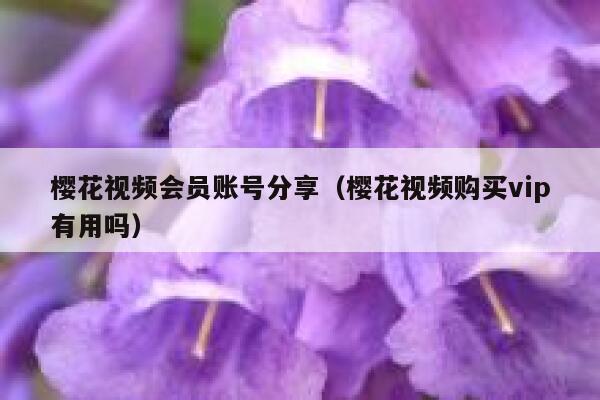 樱花视频会员账号分享（樱花视频购买vip有用吗） 第1张