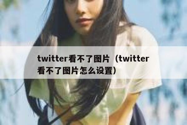 twitter看不了图片（twitter看不了图片怎么设置） 第1张