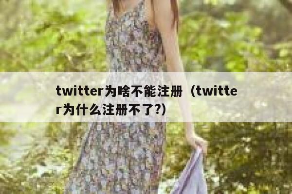 twitter为啥不能注册（twitter为什么注册不了?） 第1张