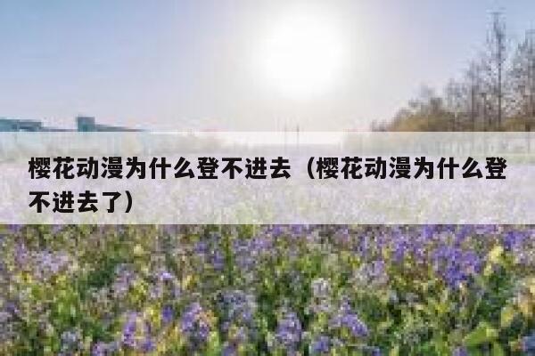 樱花动漫为什么登不进去（樱花动漫为什么登不进去了） 第1张