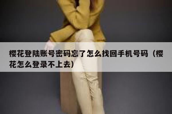 樱花登陆账号密码忘了怎么找回手机号码（樱花怎么登录不上去） 第1张