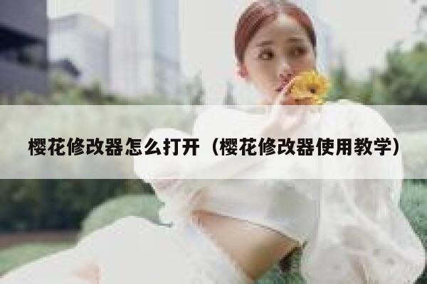 樱花修改器怎么打开（樱花修改器使用教学） 第1张
