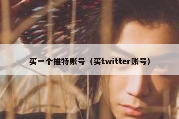 买一个推特账号（买twitter账号） 第1张