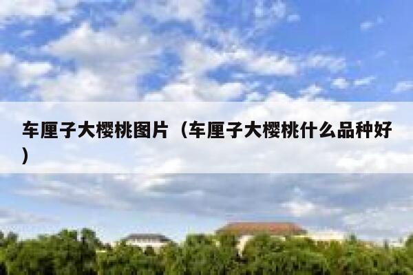 车厘子大樱桃图片（车厘子大樱桃什么品种好） 第1张