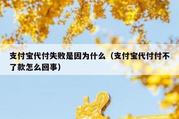 支付宝代付失败是因为什么（支付宝代付付不了款怎么回事） 第1张