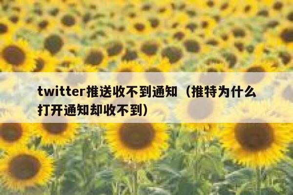twitter推送收不到通知（推特为什么打开通知却收不到） 第1张