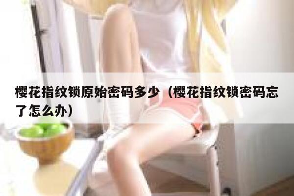 樱花指纹锁原始密码多少（樱花指纹锁密码忘了怎么办） 第1张