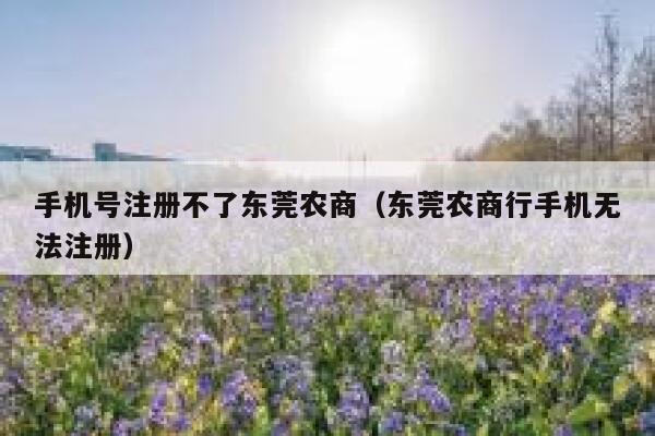 手机号注册不了东莞农商（东莞农商行手机无法注册） 第1张