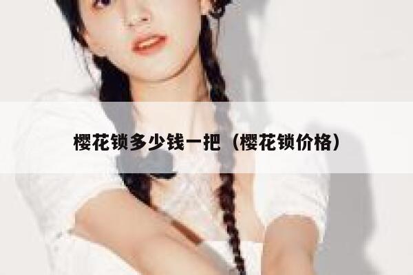 樱花锁多少钱一把（樱花锁价格） 第1张