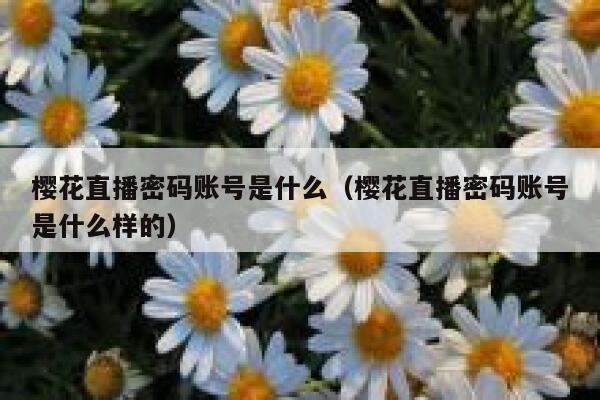 樱花直播密码账号是什么（樱花直播密码账号是什么样的） 第1张