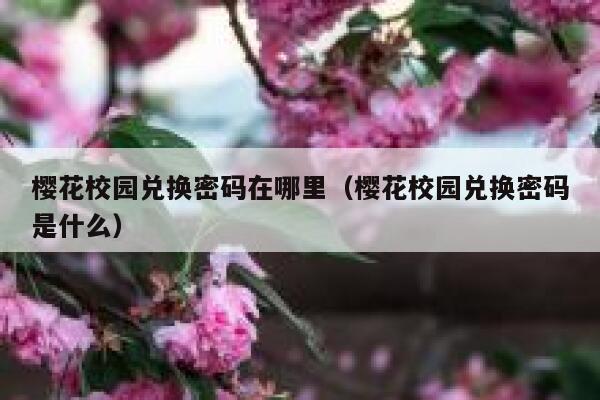 樱花校园兑换密码在哪里（樱花校园兑换密码是什么） 第1张