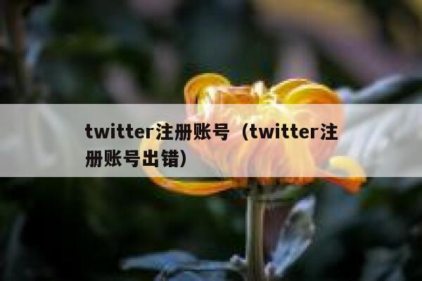 twitter注册账号（twitter注册账号出错） 第1张
