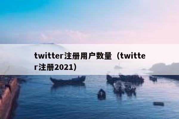 twitter注册用户数量（twitter注册2021） 第1张